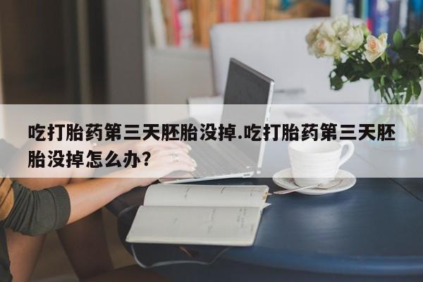 药流药使用吃打胎药第三天胚胎没掉.吃打胎药第三天胚胎没掉怎么办？
