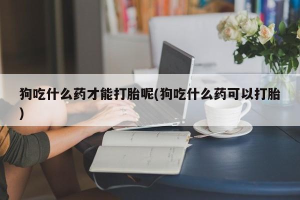 药流药使用狗吃什么药才能打胎呢(狗吃什么药可以打胎)