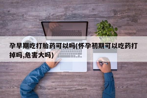 药流药使用孕早期吃打胎药可以吗(怀孕初期可以吃药打掉吗,危害大吗)