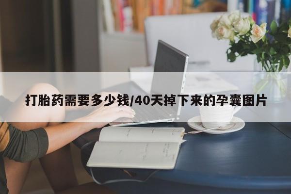 药流药使用打胎药需要多少钱/40天掉下来的孕囊图片