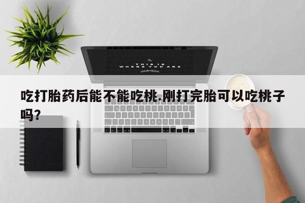 药流药使用吃打胎药后能不能吃桃.刚打完胎可以吃桃子吗?