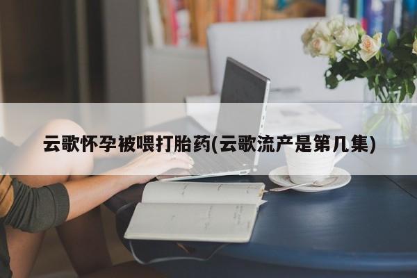 药流药使用云歌怀孕被喂打胎药(云歌流产是第几集)