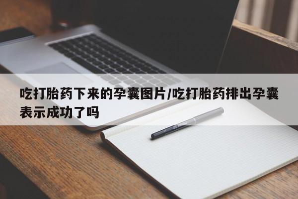 药流药使用吃打胎药下来的孕囊图片/吃打胎药排出孕囊表示成功了吗